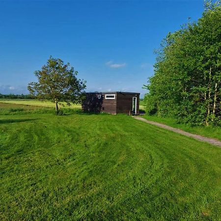 Tiny House "De Veenpolder" De Veenhoop Extérieur photo